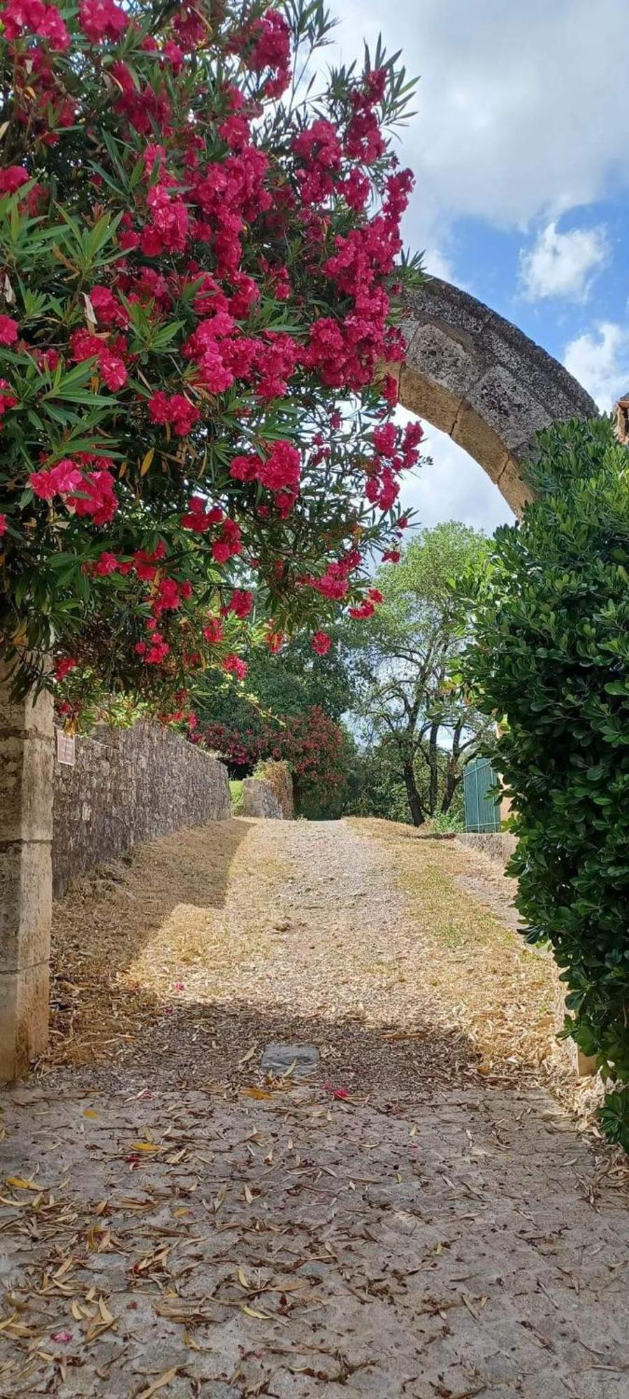 Comorebi Provence Entrecasteaux Екстериор снимка